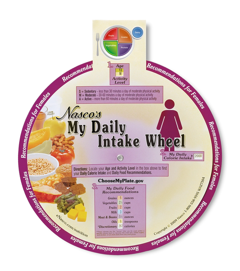 Load image into Gallery viewer, Nasco My Daily Intake Wheel