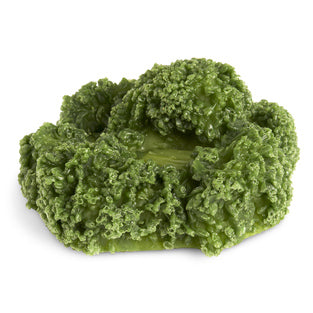 BROCCOLI, 1/2 CUP (120 ML)