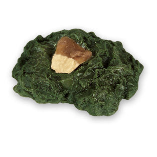 COLLARED GRN W/SALT PORK