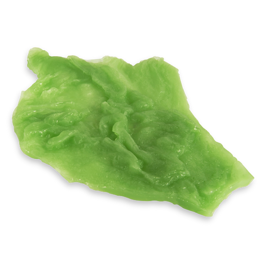 Iceberg Lettuce Replica – Large Leaf