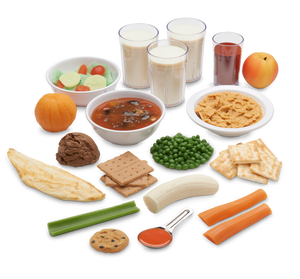 1,500-Calorie Food Replica Kit