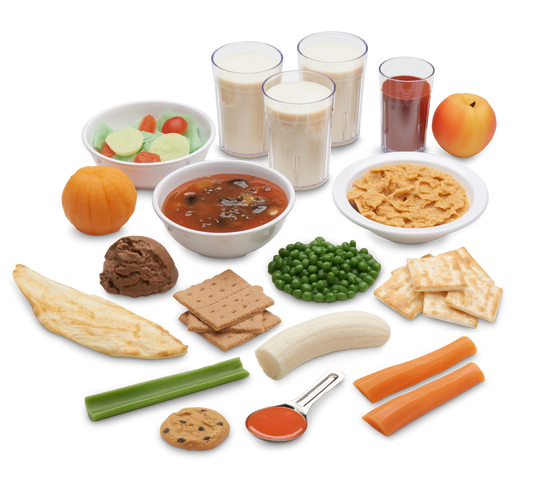 1,500-Calorie Food Replica Kit