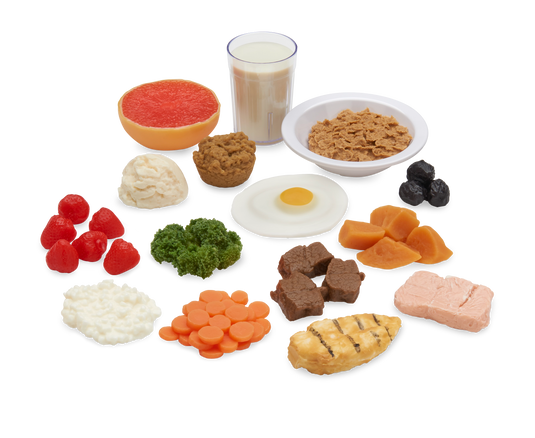 Prenatal Food Replica Kit