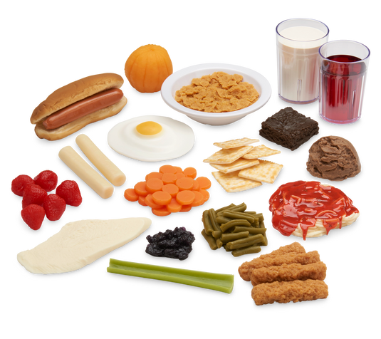 Children’s Nutrition Food Replica Kit – Ages 4–10