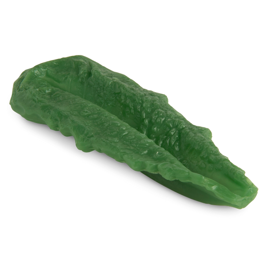 Romaine Lettuce Leaf Replica – Medium Leaf