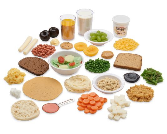Vegetarian Food Replica Kit