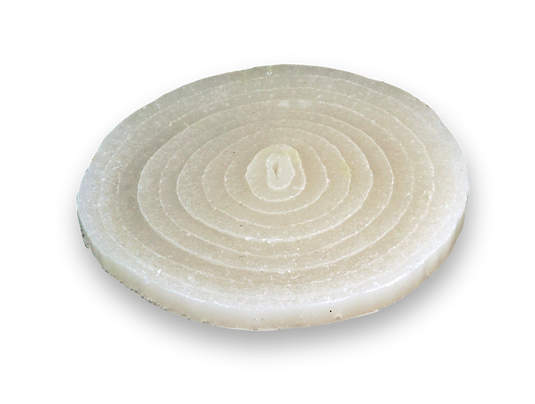 Onion Slice Replica – 1/4 in Thick