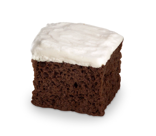 Chocolate Cake Replica – Frosted Portion
