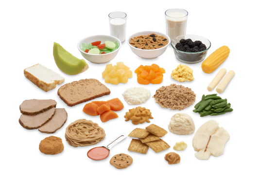 Common Meals Food Replica Kit