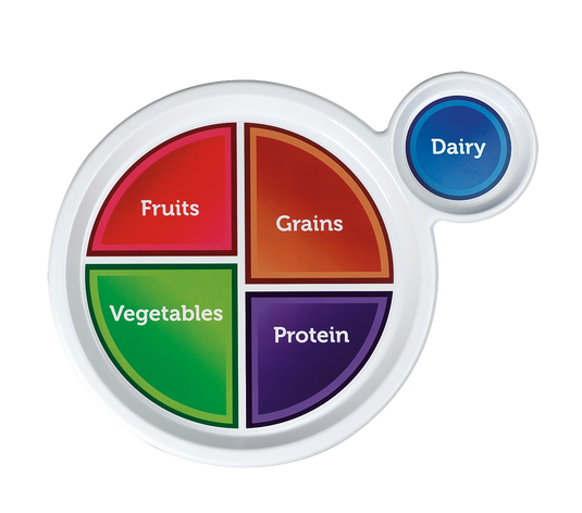MyPlate Plastic Plate