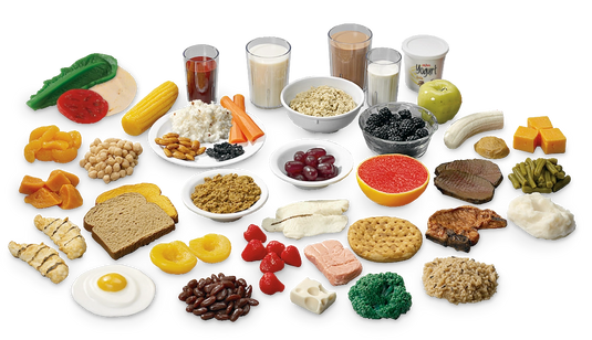 MyPlate Food Kit – 42 Food Replica Set for Meal Planning Training