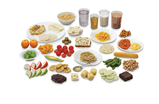 Food Replica Package No. 4 – Mixed Food Group Set
