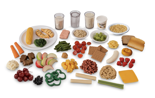 Healthy Kids Food Replica Kit