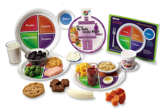 Mini MyPlate Kit