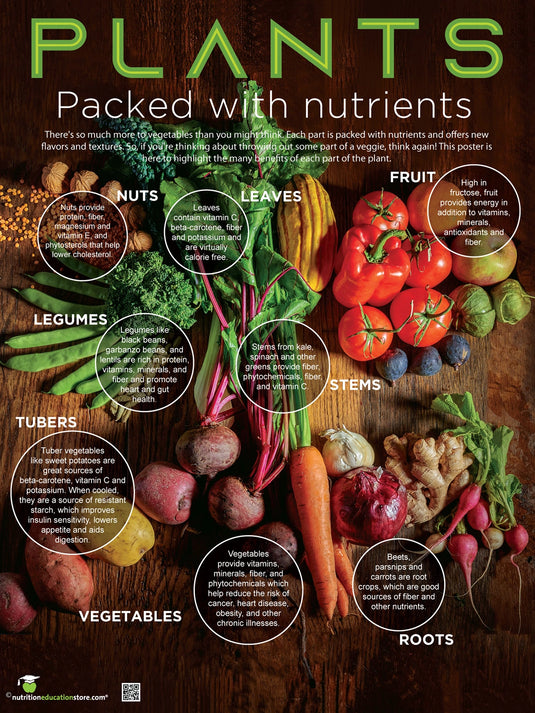 Plant Parts and Health Benefits Poster