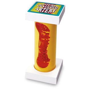 OCCLUDED ARTERY MODEL
