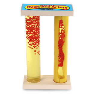 MODEL DELUXE ARTERY