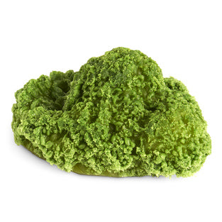 BROCCOLI 1/4 CUP