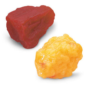 1 lb Fat and 1 lb Muscle Replicas