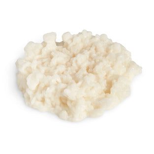 White Rice Replica – 1/2 Cup Cooked Portion
