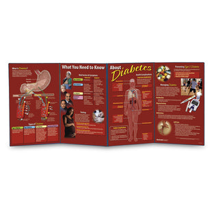 DIABETES FOLDING DISPLAY