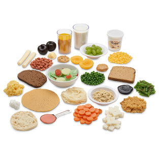 Vegetarian Food Replica Kit