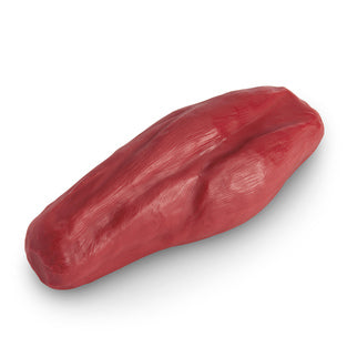 REPLICA MUSCLE ENHANCED 5#