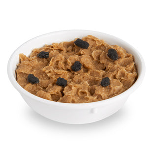 Raisin Bran Cereal Replica – 1 Cup in Melamine Bowl