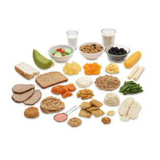 Common Meals Food Replica Kit
