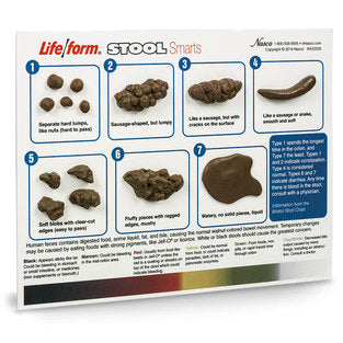 Stool Smarts Model – Bristol Stool Chart 3D Display