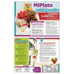 HANDOUTS MYPLATE BUDGET SP