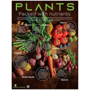 POSTER PLANT PARTS/BENEFIT