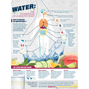 HANDOUTS WATER HEALTHY BDY